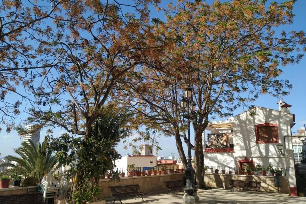 San Antonio Villa อาลิกันเต ภายนอก รูปภาพ